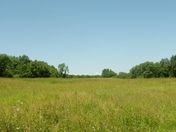 Eleanor Roosevelt National Historic Site