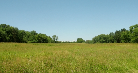 Eleanor Roosevelt National Historic Site