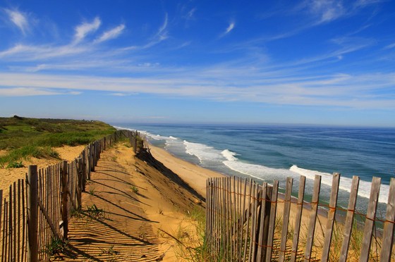 Cape Cod National Park