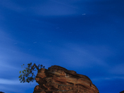 Zion National Park