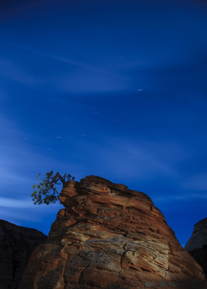 Zion National Park