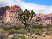 Red Rock Canyon