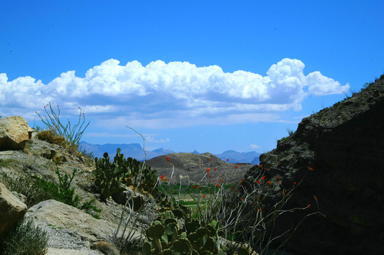Big Bend National Park