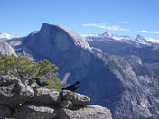 Yosemite NP