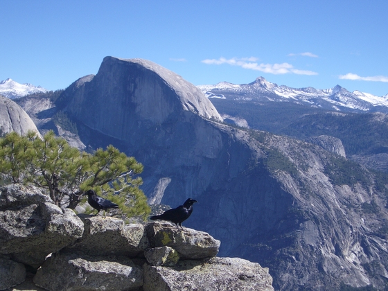 Yosemite NP