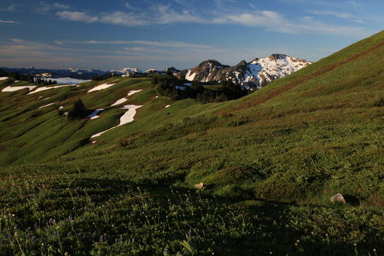 Glacier Peak Wilderness