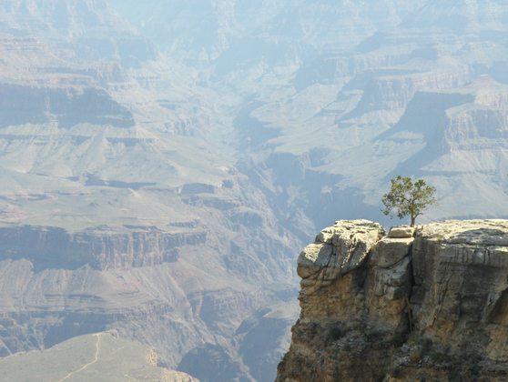 Grand Canyon National Park
