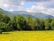 Smokey Moutains National Park - Cades Cove