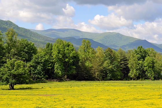 Smokey Moutains National Park - Cades Cove