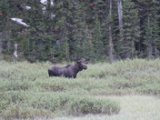 Beartooth Highway