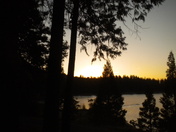 Sierra national forest