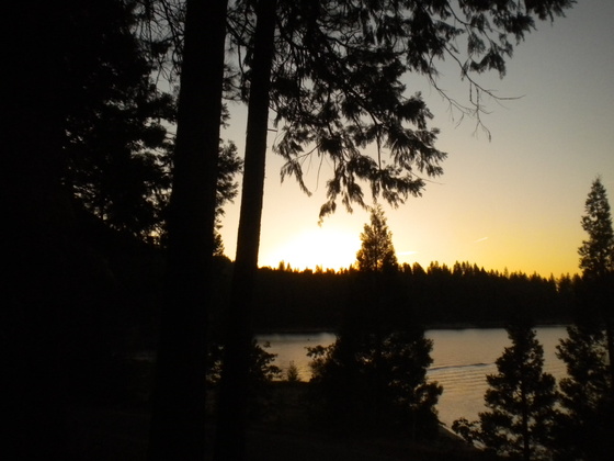 Sierra national forest