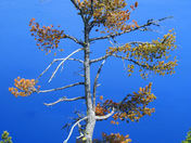 Crater Lake