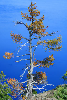 Crater Lake