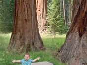 Sequoia National Monument