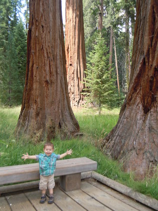Sequoia National Monument