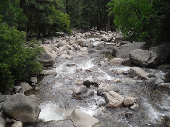 Yosemite National Park