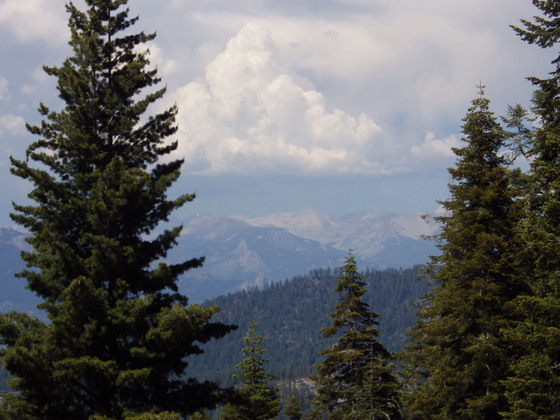 Sequoia and Kings Canyon National Park