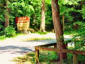 Horse Cove Campgroud