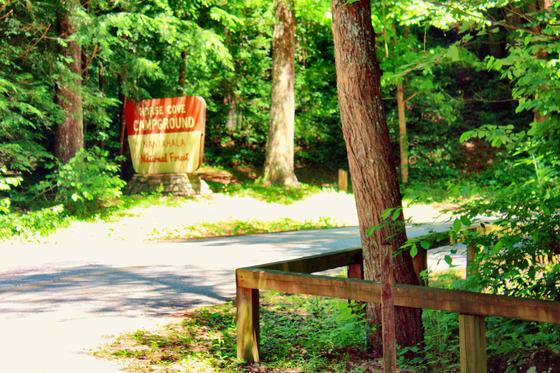 Horse Cove Campgroud