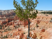 Bryce Canyon