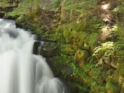 Umpqua National Forest