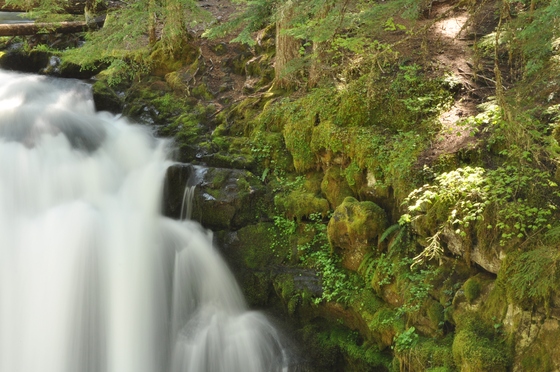 Umpqua National Forest