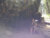 Sequoia national park