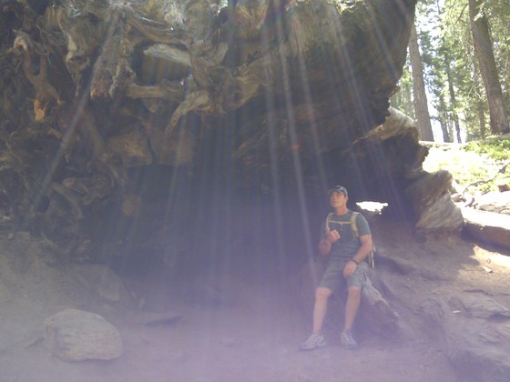 Sequoia national park