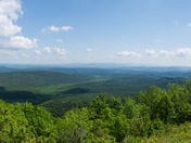 Ouchita National Forest