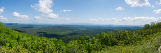 Ouchita National Forest