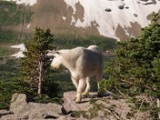 Glacier National Park