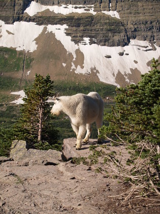 Glacier National Park