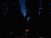 sequoia national park
