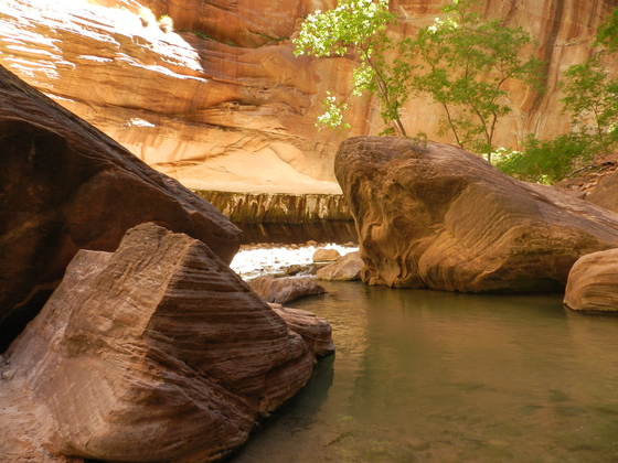 Zion National Park