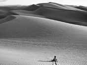 Cadiz Dunes Wilderness Area
