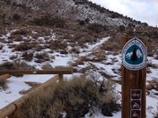 Dove Springs OHV