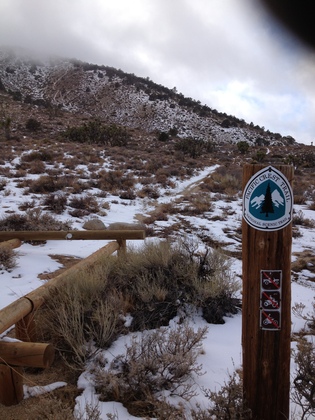 Dove Springs OHV