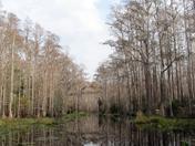 Okefenokee National Wildlife Refuge