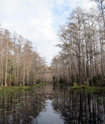 Okefenokee National Wildlife Refuge