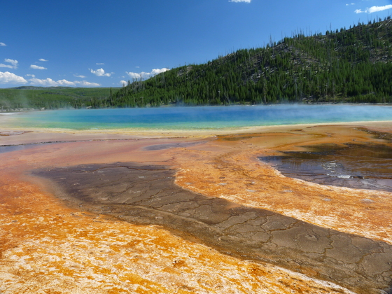Yellowstone NP