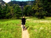 Coconino National Forest