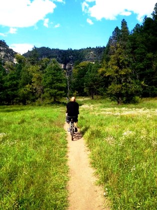 Coconino National Forest