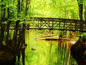 Congaree National Park