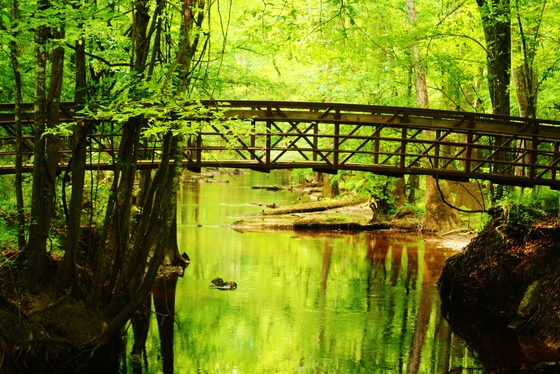 Congaree National Park