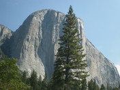 yosemite national park