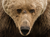 Katmai National Park & Preserve