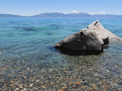 Tahoe National Forest