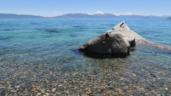 Tahoe National Forest