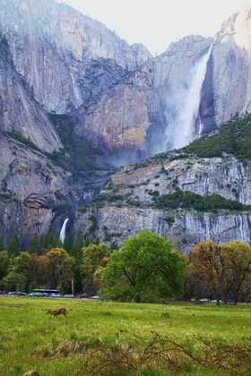 Yosemite
